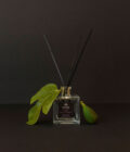 ficus-diffuser-product-image-01-amazing-space-2023