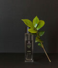 white-tea-perfume-product-image-01-amazing-space-2023